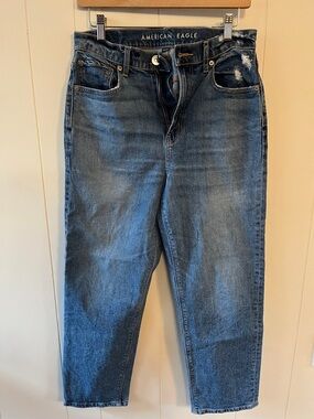 American Eagle Outfitters Women’s Highest Rise 90s Boyfriend Jeans